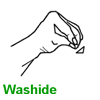 Washide(**)