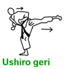Ushiro geri